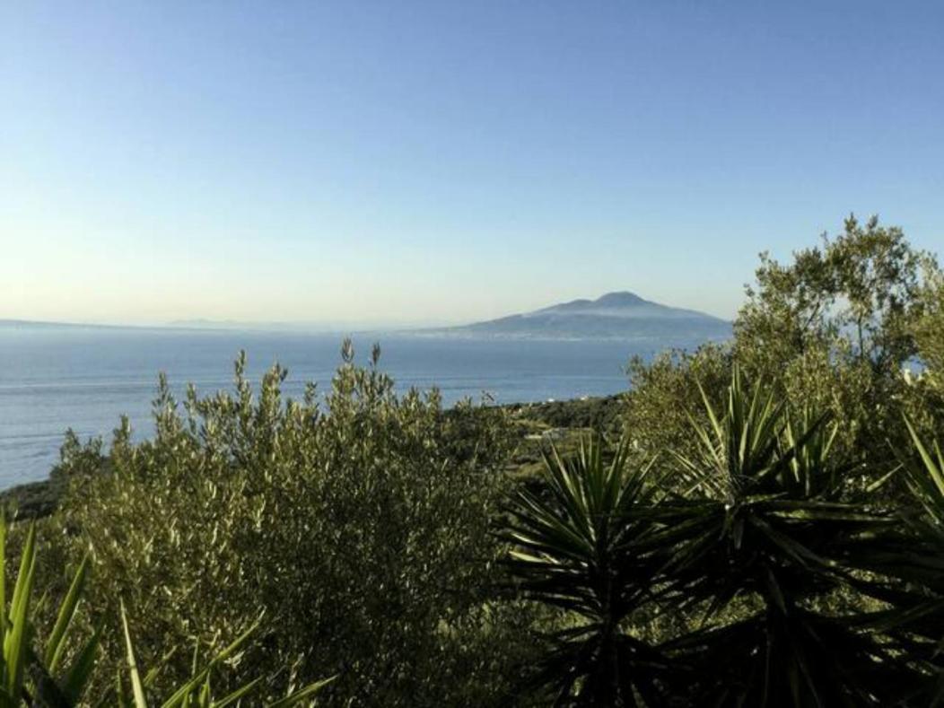 Un Paradiso A Sorrento Con Piscina Massa Lubrense Εξωτερικό φωτογραφία