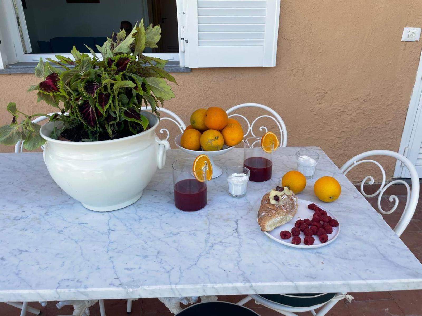 Un Paradiso A Sorrento Con Piscina Massa Lubrense Εξωτερικό φωτογραφία